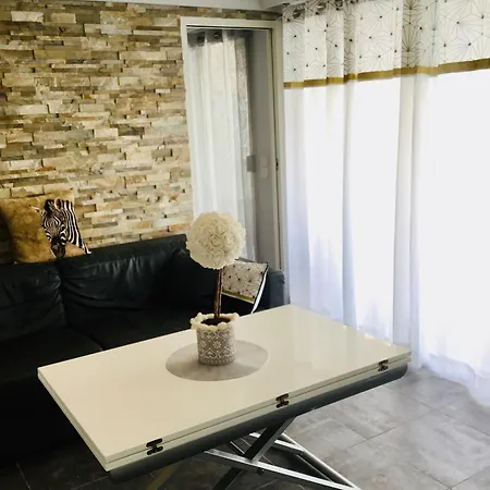 Elegant F2 With Comforts In Center Of Apartment
